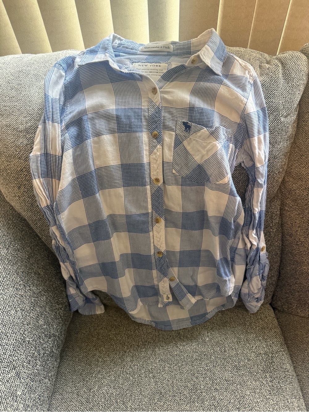 Abercrombie & Fitch Blue and White Plaid Button-Down Shirt